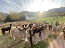 Alpaca Inn, hotel con pileta en Montagu