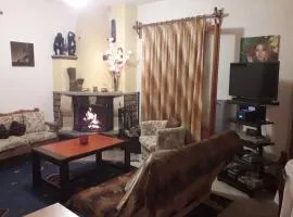Efis house