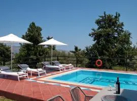 Villa Artemis Vryses Crete