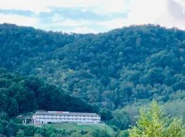 Econo Lodge - Waynesville