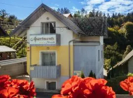 Apartment Muznik