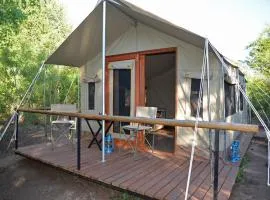The Wild Olive Tree Camp