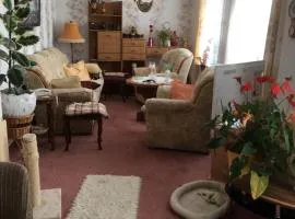 Ferienwohnung bunte Stadt an der Elde