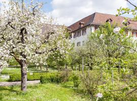 Kloster Dornach / Basel, bed and breakfast en Dornach