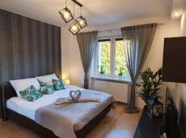 A&S Apartments - WIDOK