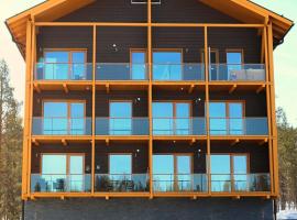 Tunturinlaita D6, hotel near Peak Lapland Viewing Deck, Levi