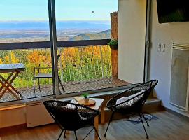 Studio avec sauna au calme à 15 min de Colmar, hotel in Trois-Épis