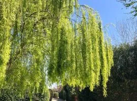 B&B Borgo di Pratavecchie