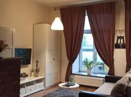 Studio flat in a historical XIX c. building.