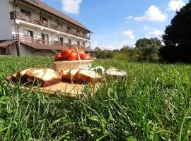 La Curtea Porumbaceana