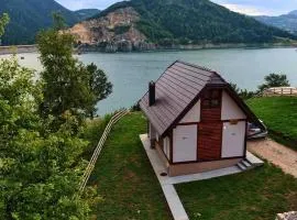 Zoranovi konaci