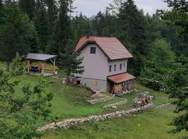 My Home Tara, hotel in Mitrovac