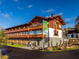 Steig-Alm Hotel Superior, hotel near Siegerland Airport - SGE, Bad Marienberg