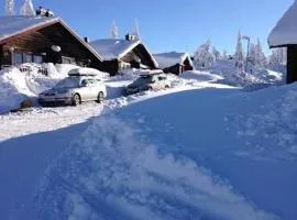 Ski-in ski-out Sälen Högfjället 4 plus 2 bäddar