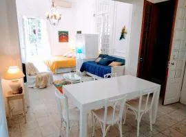 Casa Palacio, Arte e Historia