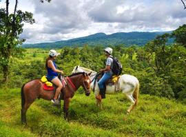 Cabinas Río Celeste La Amistad, Cama e café (B&B) em Rio Celeste