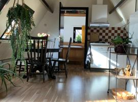 City Guesthouse, pet-friendly hotel in Hardenberg