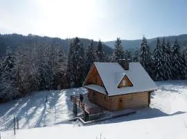 Chata na Kowalówkach - domek w górach Piwniczna Zdrój