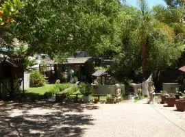 Springbok Apartments