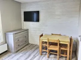 Appartement 4 personnes aux pieds des pistes Le Champame Wifi Netflix