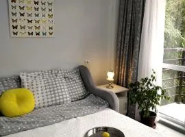 Студия с видом на парк