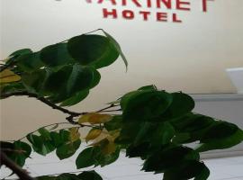 Hotel Marinet, hotel v destinaci Bukittinggi