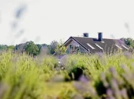 Lavender Village、Kiemeliaiのビーチ周辺のバケーションレンタル