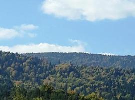 Вили Green, cottage in Tsigov Chark