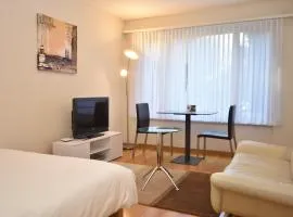 Nice studio in the city center - Vineyard 11