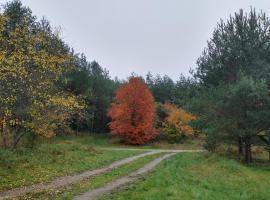 Agroturystyka Leśna Babka, farm stay in Jastrowie