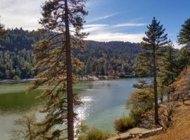 The Atomic Squirrel Lodge Lake Gregory Getaway!, hotel a Crestline