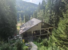 Cabana Zimbru Transfagarasan, lodge in Arefu