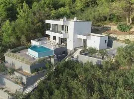 Villa Leona a luxury villa near Makarska, heated pool
