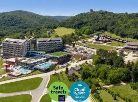 Movenpick Resort and Spa Fruske Terme