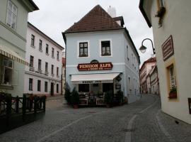 Pension Alfa & Whisky Pub, guest house in Tábor