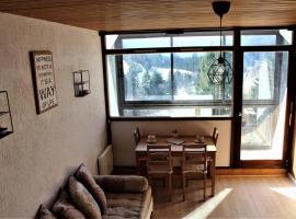 Studio sous les pistes avec vue sur la vallée, hotel perto de Belle Hutte Ski Lift, La Bresse
