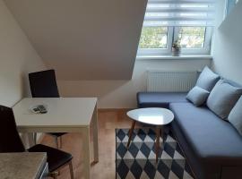 Attic rooms at Laisves avenue