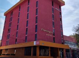 Hotel Flamingos โรงแรมใกล้สนามบินกวาดาลาฮารา - GDLในกัวดาลาฮารา