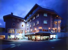 Resort Inn Marion Shinano, hotel in Otari