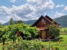 BRVNARE STOJIĆ, place to stay in Kokin Brod