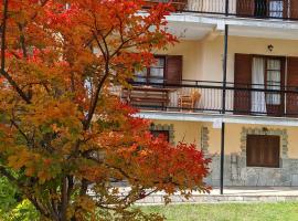 The House with the Hydrangeas: Elati Trikala şehrinde bir otel