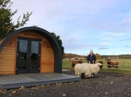 Glampods Glamping Pod - meet Highland Cows and Sheep Elgin, holiday home in Elgin