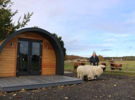 Glampods Glamping Pod - meet Highland Cows and Sheep Elgin, cottage in Elgin