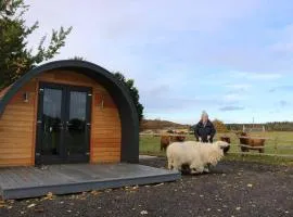 Glampods Glamping Pod - meet Highland Cows and Sheep Elgin