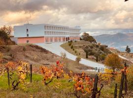 Placido Hotel Douro - Tabuaco, hotel v destinaci Tabuaco