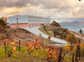 Placido Hotel Douro - Tabuaco, hotel di Tabuaco