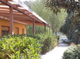 B & B Residence L'Ancora