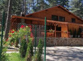 Къща за гости ЕКО, Cottage in Tsigov Chark