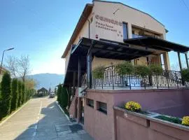 Pensiunea Camena