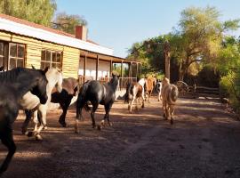 Lodge Atacama Horse，聖佩德羅·德·阿塔卡馬的木屋